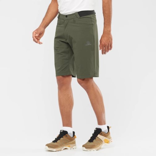 Olive Salomon Wayfarer Men's Shorts | PH 14789F